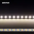 CT QOLORFLEX WARM  WHITE LED STRIP Indoor 12V Tape